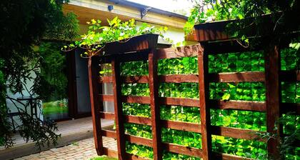 ATRIUM Guesthouse
