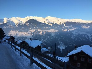 Unclassified image, 3 of 17, button