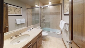 Combined shower/tub, hair dryer