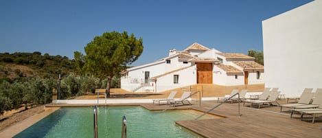 Outdoor pool, open 11:00 AM to 7:00 PM, pool loungers