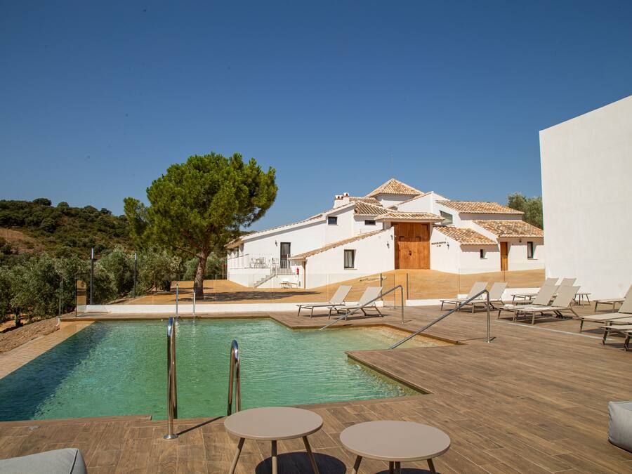 Outdoor pool, open 11:00 AM to 7:00 PM, pool loungers