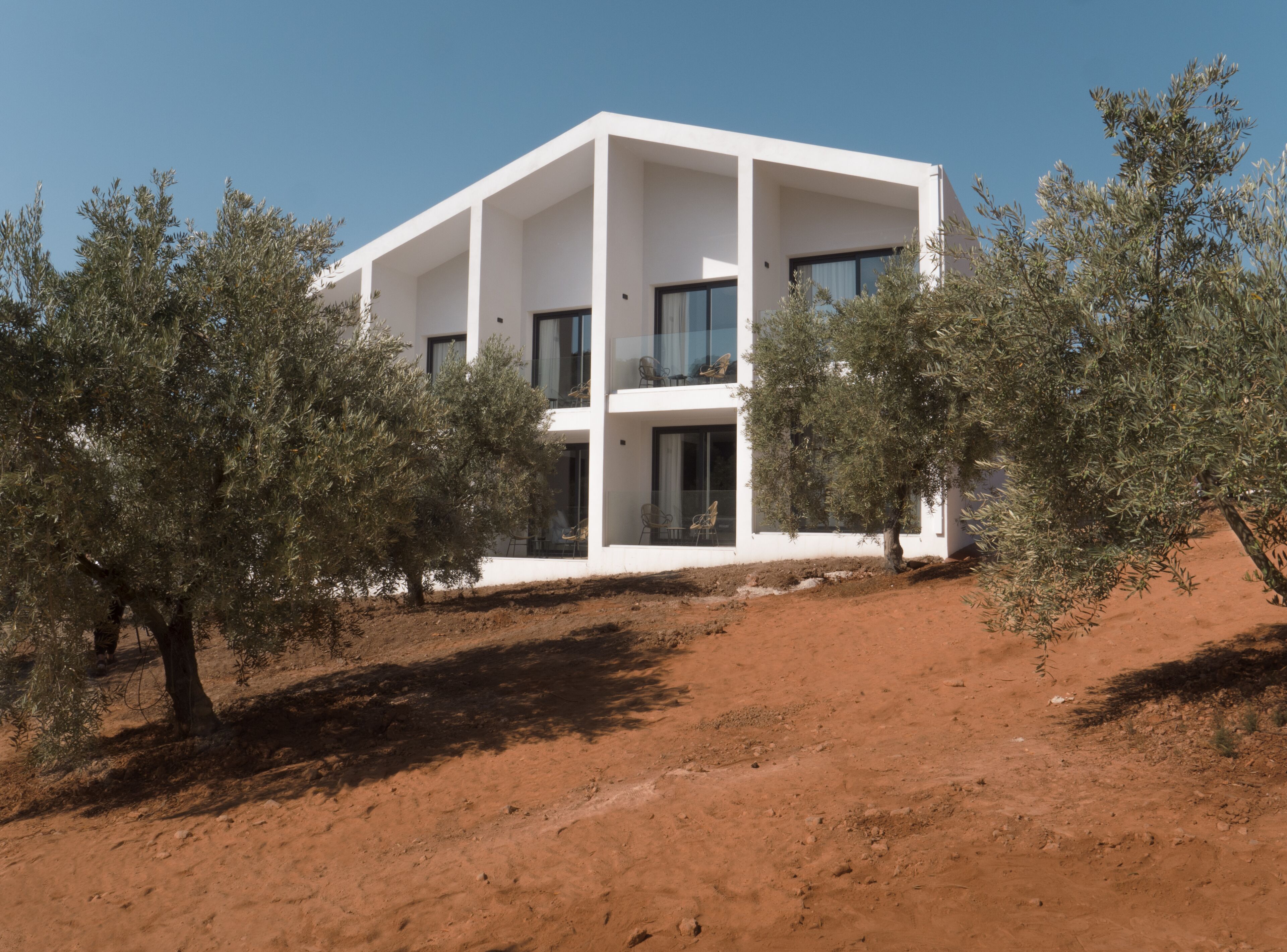 Un edificio moderno blanco con amplios ventanales y balcones, rodeado de olivos y tierra roja.