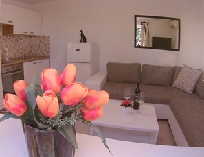 Appartamento, 1 camera da letto, terrazzo | Interni