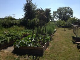 Apartamento, 1 habitación, vistas al jardín | Jardín