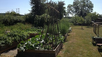 Apartment, 1 Bedroom, Garden View | Garden