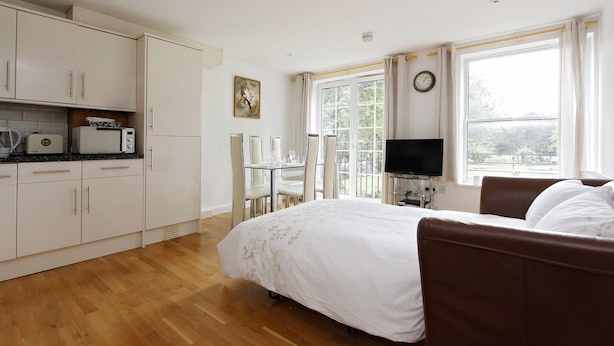 Een slaapkamer met een bed, een televisie, een raam met gordijnen, een eettafel met stoelen en een keuken met kasten en apparatuur.