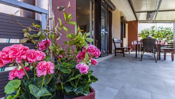 A patio area with a potted plant of pink flowers, outdoor furniture, and a building entrance. - Spacious and Comfortable Apartment in Medulin, Croatia (Medulin)