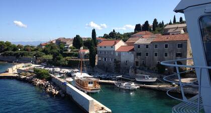 Apartment in Villa, Private Pool, big Garden, Close to sea and Old Zadar Town