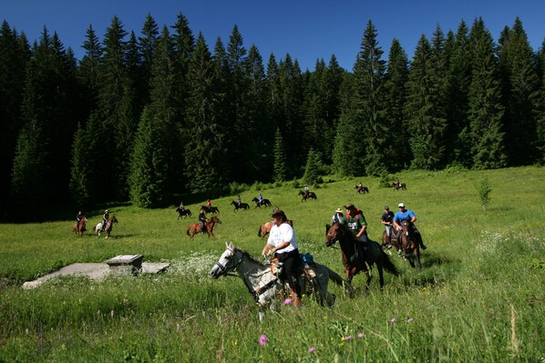 Un grupo de personas montando a caballo en un campo cubierto de hierba, con árboles al fondo.