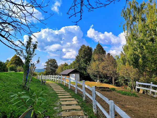 Apartment, 4 Bedrooms, Balcony, Garden View | Garden
