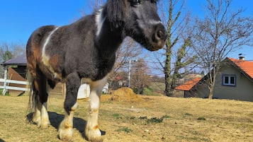 Apartment, 4 Bedrooms, Balcony, Garden View | Exterior