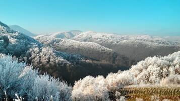 Room, 1 Bedroom, Patio, Garden View | Exterior