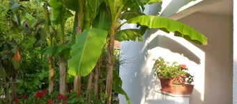 Angelo Apartment, in the Quiet Part of Porec