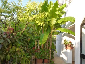 Apartment, 1 Bedroom, Smoking, Balcony | Garden - Angelo Apartment, in the Quiet Part of Porec (Porec)