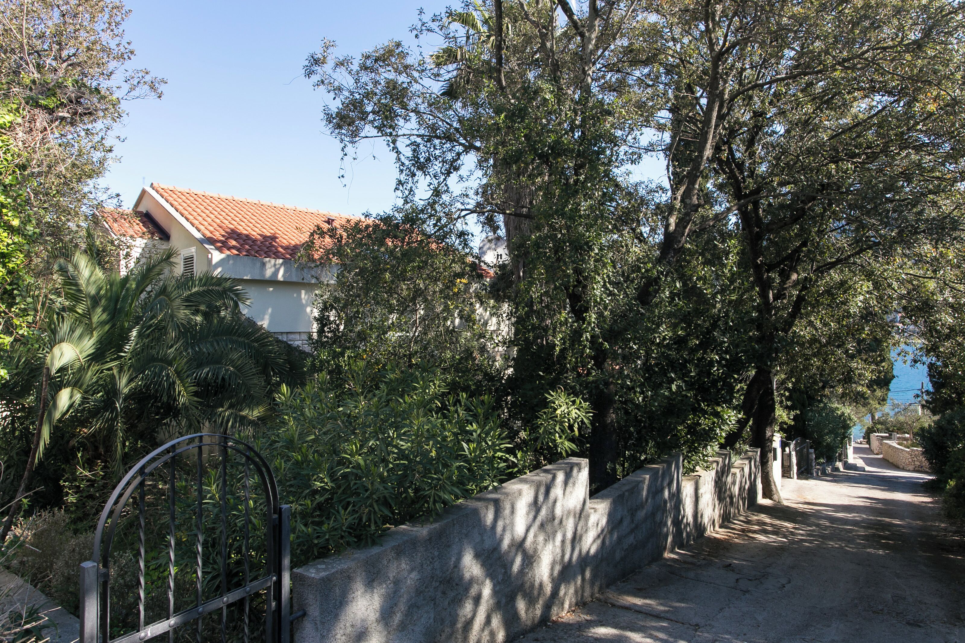 A pathway lined with trees and a building with a red-tiled roof.