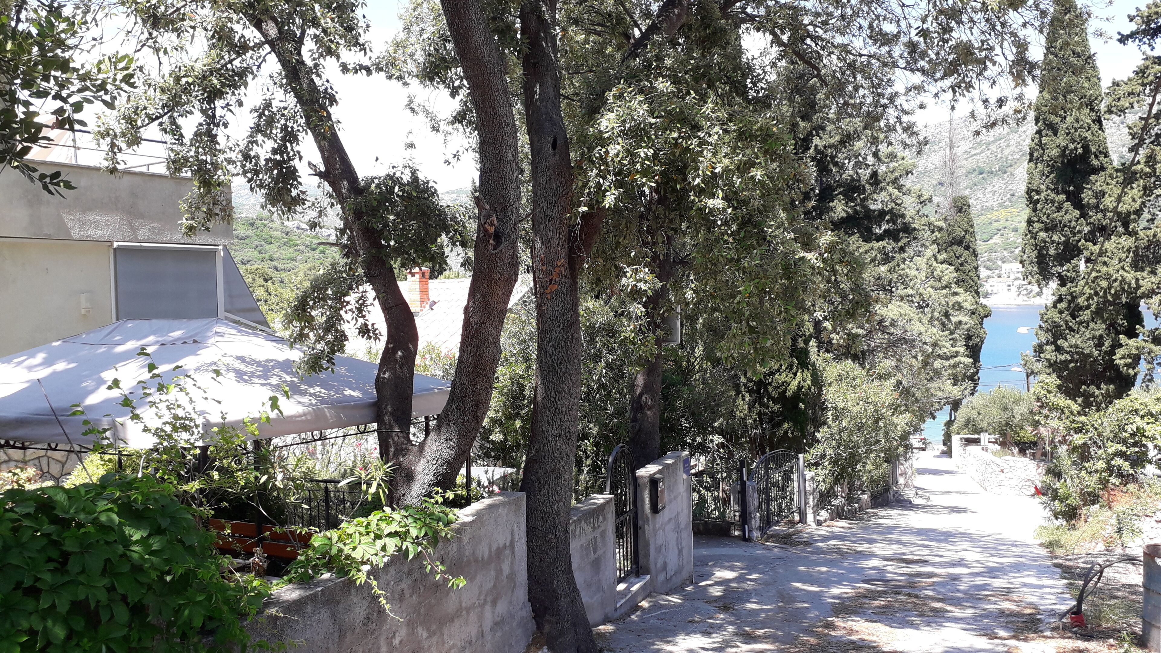 Una calle estrecha bordeada de árboles con un edificio que tiene techo plano y un porche cubierto.