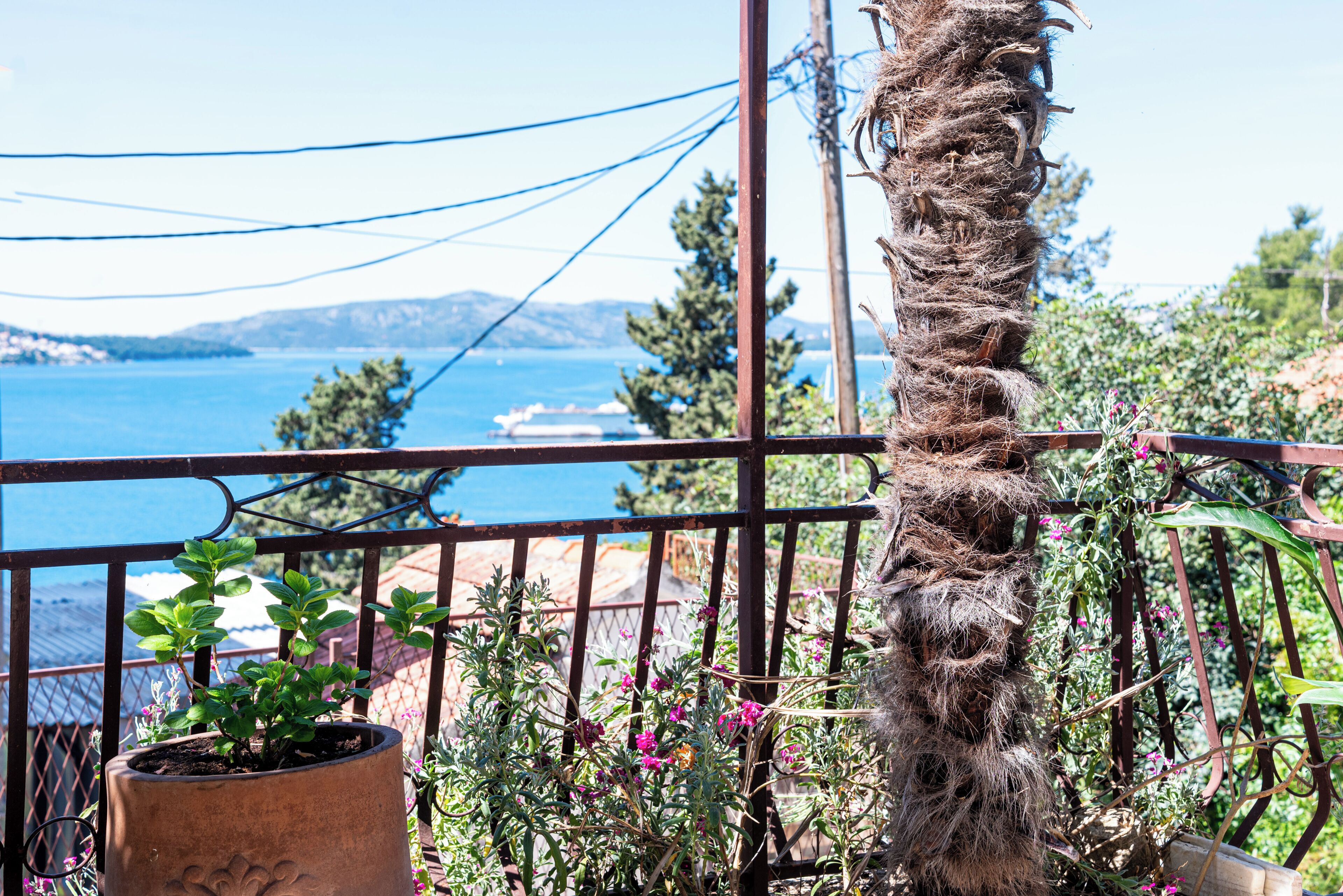 Un balcon avec vue sur la mer, un palmier et des plantes en pot.