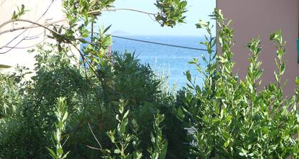 No5 One Bedroom Apartment