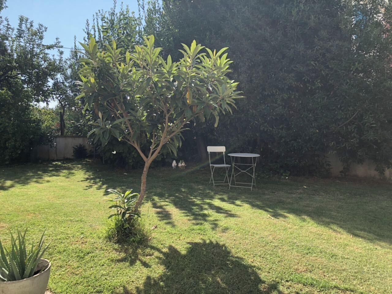 Jardim
