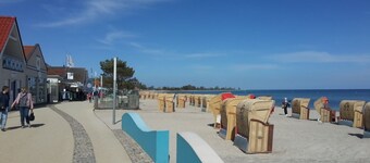 Pure relaxation right by the forest & only 750m to the beach in our retro chalet