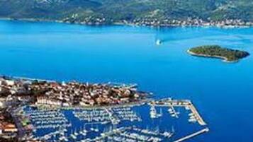 Room, 1 Bedroom, Smoking, Balcony | Aerial view