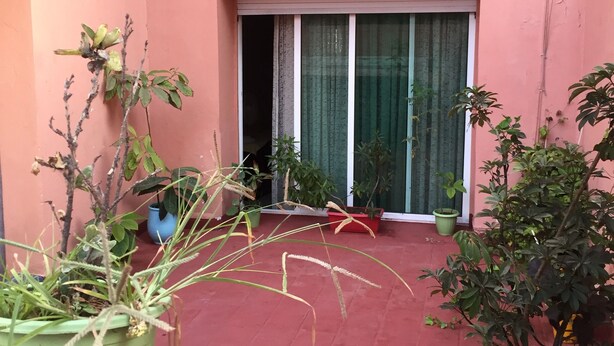A courtyard with potted plants, a tiled floor, and a sliding glass door leading to a room.