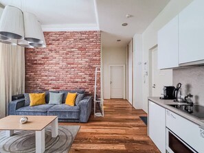 TV - Amazing OLD TOWN one-bedroom apartment (Prague 1)