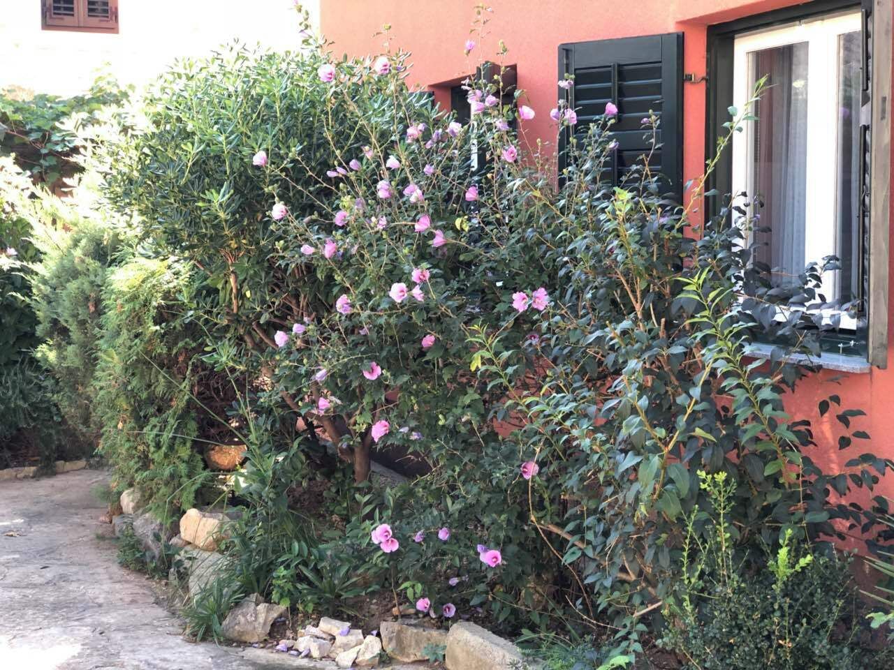 Studio, Balkon, Gartenblick | Garten