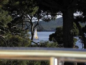 Apartment, 1 Bedroom, Smoking, Terrace | Beach/ocean view