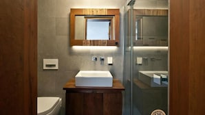 Shower, free toiletries, hair dryer, bathrobes