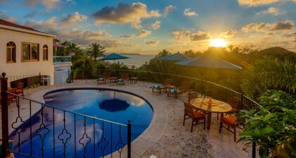 Special Place Where you Combine the Peace of the Jungle With the Ocean View