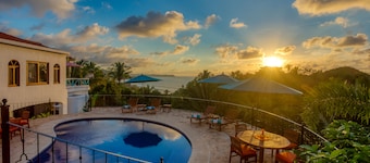 Special Place Where you Combine the Peace of the Jungle With the Ocean View