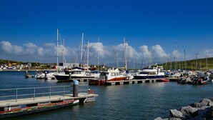 Un port de plaisance où sont amarrés de nombreux bateaux, une jetée et un ciel bleu azur.