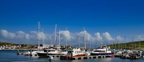 A marina with multiple boats docked, a pier, and a clear blue sky.