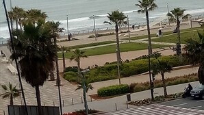 Vista costera con playa, palmeras y una carretera con vehículos.