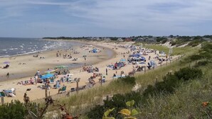 A crowded beach with umbrellas and people. - Family retreat: 5 min walk to Bayview Beach, sleeps 10 (Dennis)