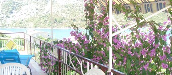 New And Completely Renovated Apartment 5-1