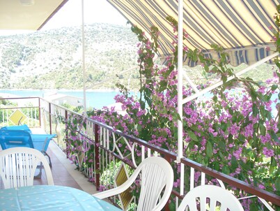 New And Completely Renovated Apartment 5-1