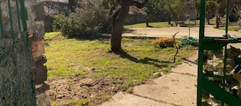 Villetta La Cinta Sx