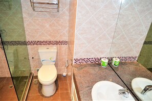 Bathroom features a glass shower enclosure, a toilet, and a sink with a chrome faucet, set against a tiled backdrop.