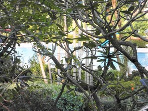 Escape to a serene tropical oasis with lush foliage and a tranquil atmosphere.
