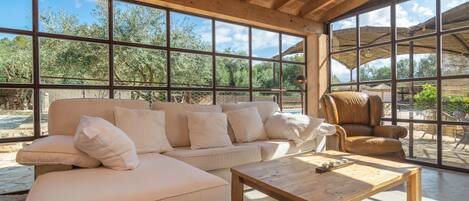 TV, fireplace, table tennis, books