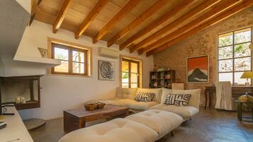 TV, fireplace, table tennis, books