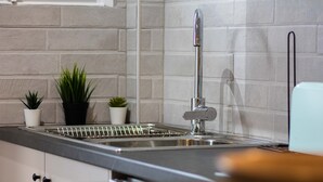 A modern kitchen with white cabinets, a stainless steel sink, and potted plants. - Elysian Luxury Studio 4 (Roda, Corfu)
