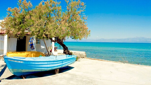 A small boat with a blue and yellow hull, docked near a building with a tree in front. - Elysian Luxury Studio 4 (Roda, Corfu)