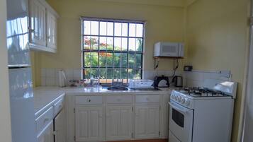 Departamento Deluxe, 1 habitación, vista a la montaña, frente al mar | Cocina privada