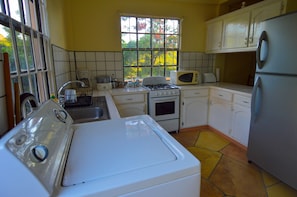 Deluxe Apartment, Partial Sea View, Mountainside | Private kitchen - Piton Grandeur (Soufrière)