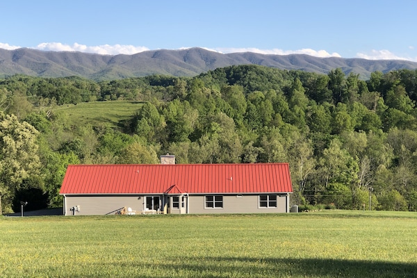 View of Holston Mountain from back of property.