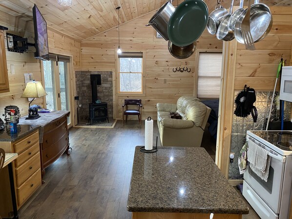 Smart TV, fireplace, books, music library - Secluded Couple’s one bedroom creek view cabin on Craigs Creek in Oriskany Va. (Eagle Rock)
