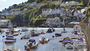 A harbor with numerous boats docked, surrounded by residential buildings and greenery. - 3 bedroom accommodation in Polperro, near Looe (Polperro, near Looe)